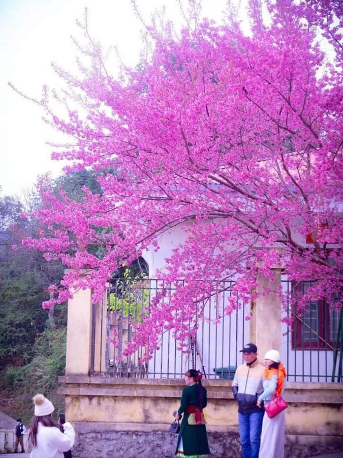 Hotel Nha Nghi T&T Dong Van  Zewnętrze zdjęcie