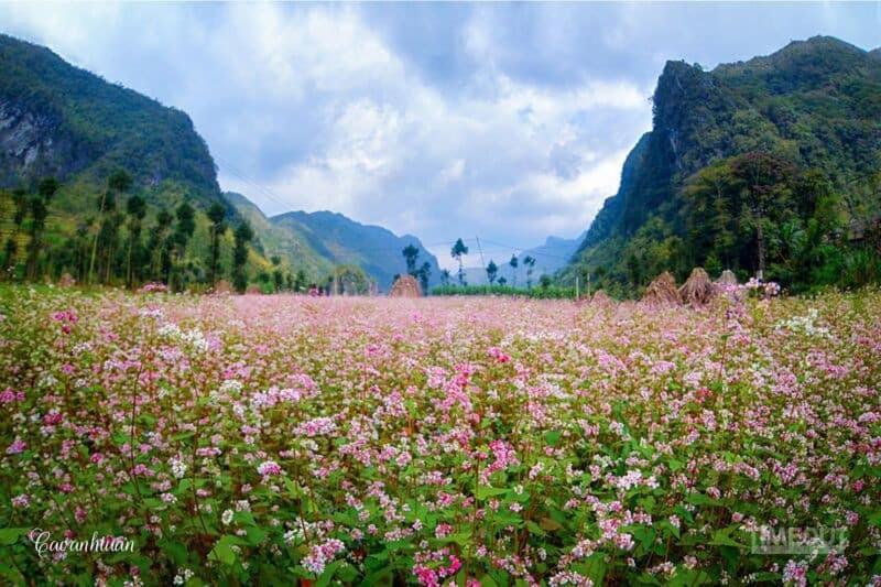 Hotel Nha Nghi T&T Dong Van  Zewnętrze zdjęcie